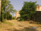 IMAG0511 (15604 visites) 649,2200,0,1633,96,1024,999,997,1076,47093,0 IMAG0511